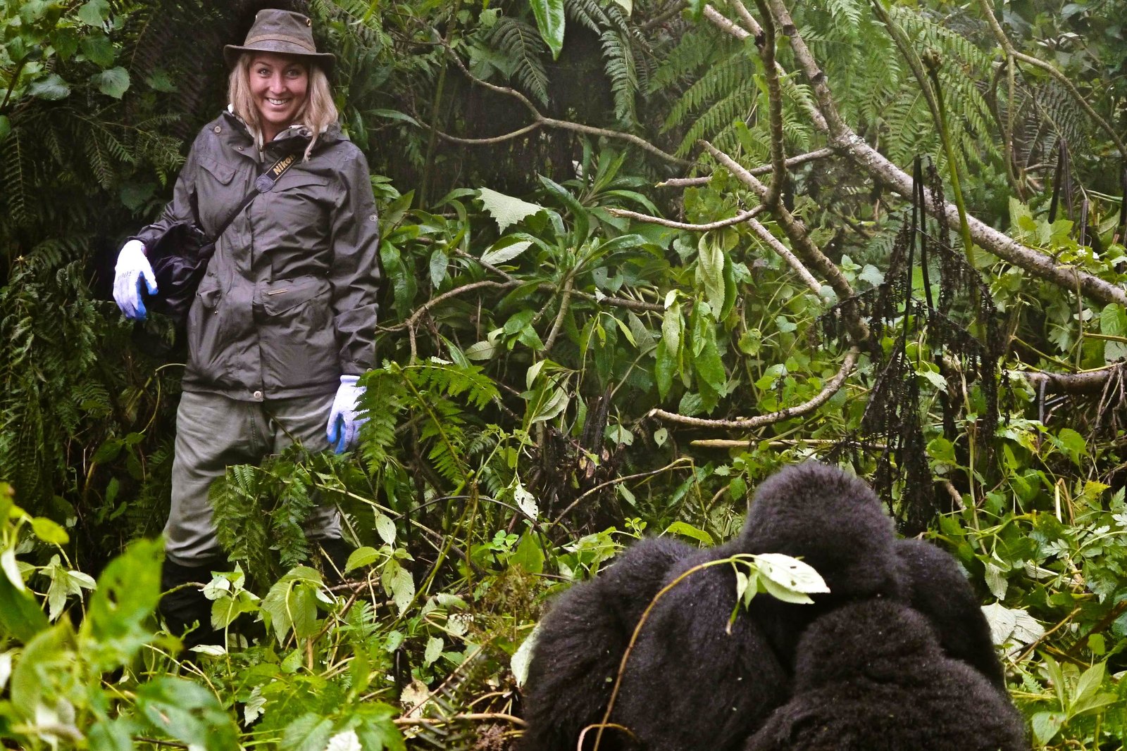 Essentialsforgorillatrekking